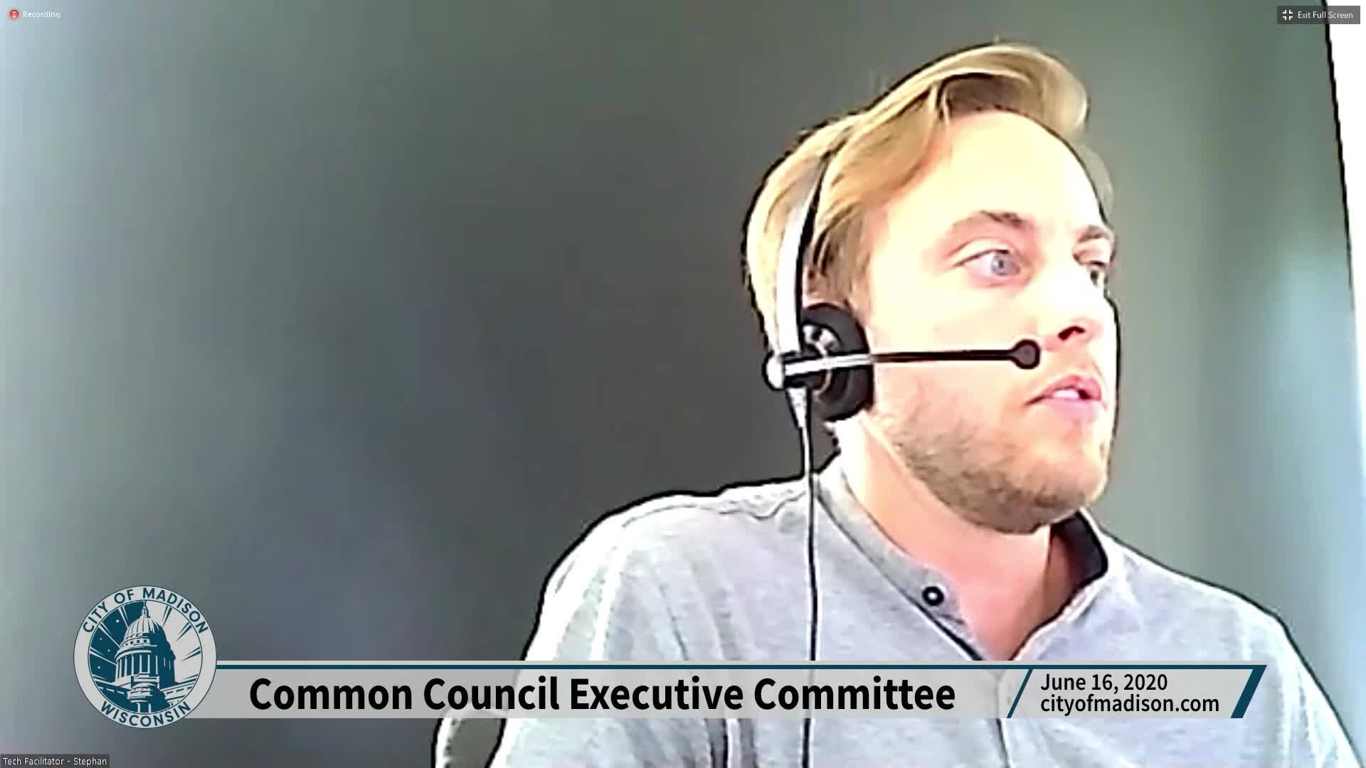 Thumbnail image for Common Council Executive Committee: Meeting of June 16, 2020
