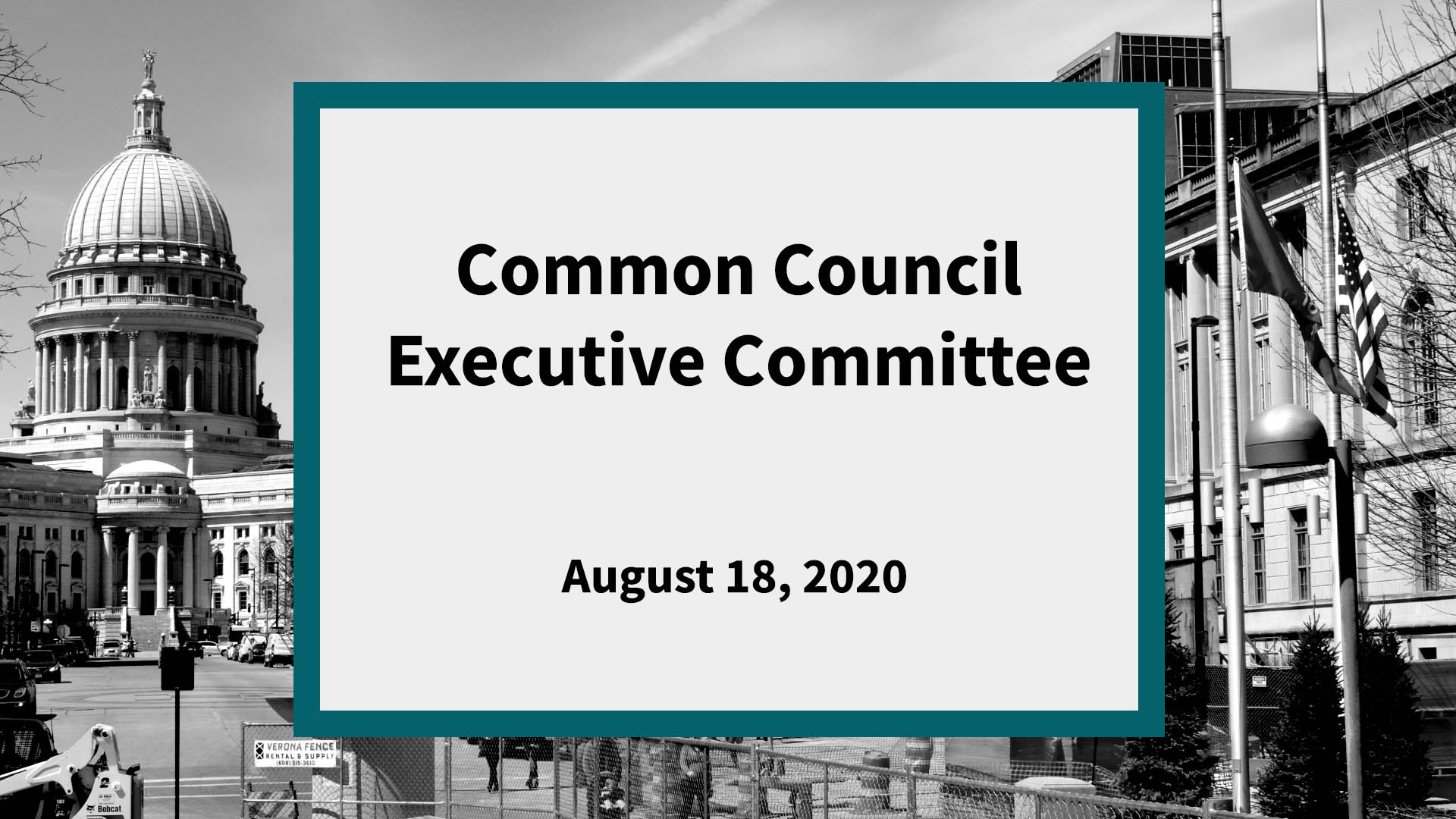 Thumbnail image for Common Council Executive Committee: Meeting of August 18, 2020