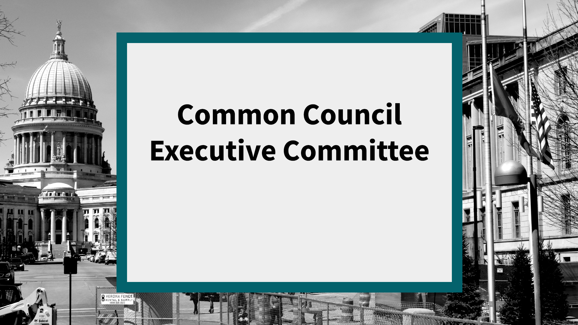 Thumbnail image for Common Council Executive Committee: Meeting of April 16, 2020